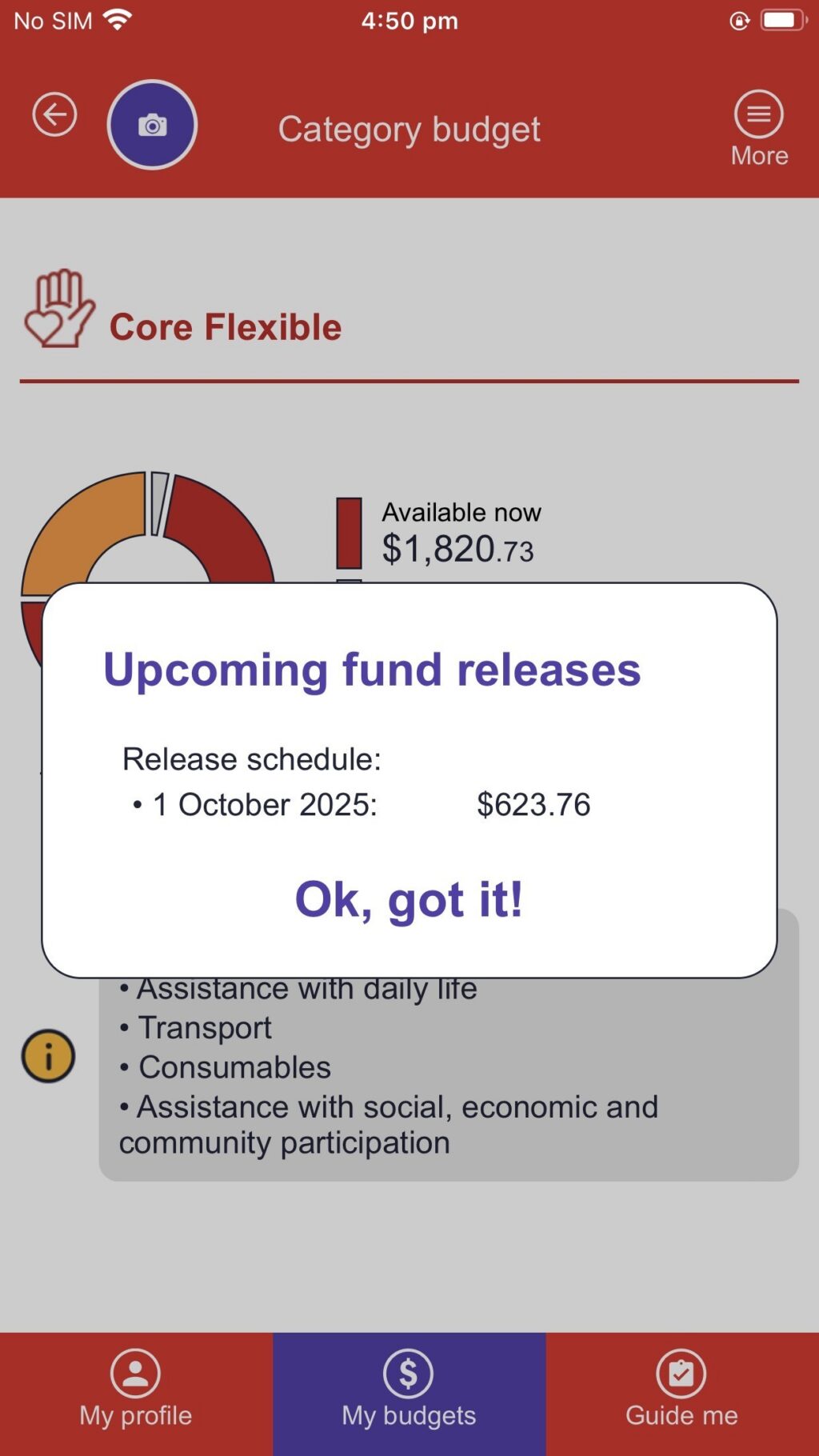 Leap in! App Core Supports Budget