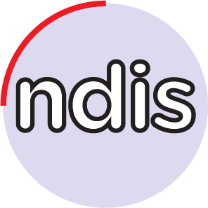icon with the ndis
