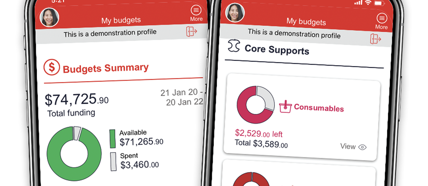 Leap in! app screens showing budget spending