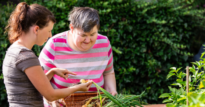 person with disability and support worker gardening for onions.