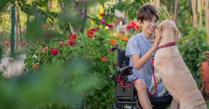 young boy in a wheelchair playing with his dog outside