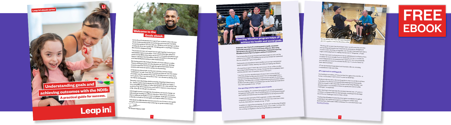 Four pages of the Goals and the NDIS ebook